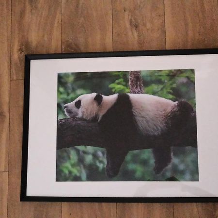 A 4 Min Du Zoo De Beauval La Maison A Partager Ch2 1Er Etage Saint-Aignan  Dış mekan fotoğraf