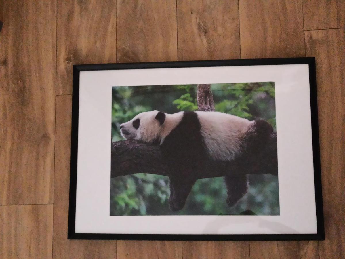 A 4 Min Du Zoo De Beauval La Maison A Partager Ch2 1Er Etage Saint-Aignan  Dış mekan fotoğraf